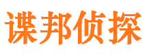 东方市调查公司